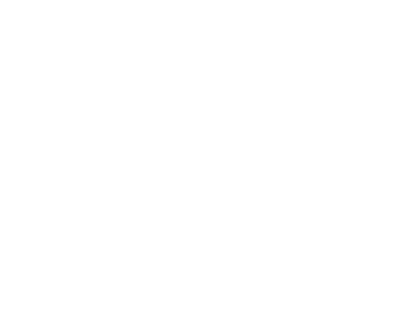 NESR